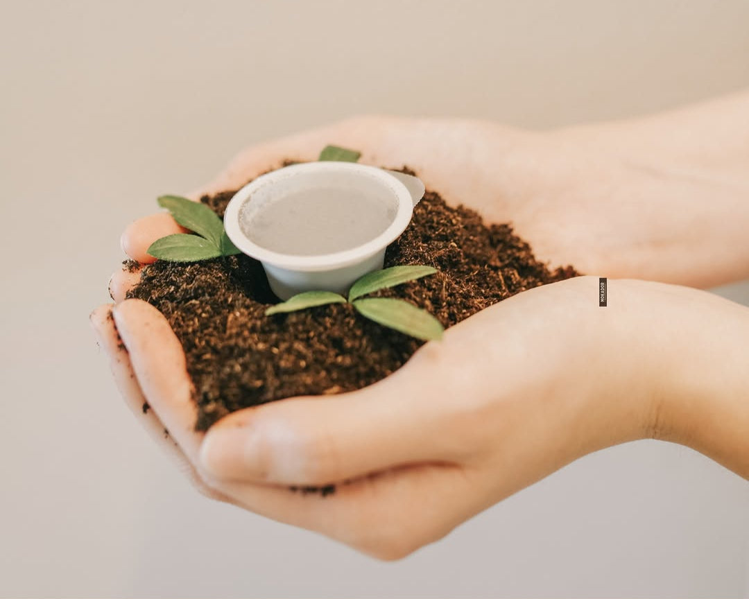 Fzin Compostable Coffee Capsules , Fzin Compostable Coffee Pods, Compostable Coffee Pods Ireland, Compostable Coffee Pods Cork, Compostable Coffee Pods Kerry, Eco pods. Sustainable pods, Compostable Coffee Capsules Ireland, Compostable Coffee Capsules Cork, Compostable Coffee Capsules Kerry, Sustainable coffee pods Ireland, Sustainable Coffee Capsules Cork , Sustainable pods Hotels, Compostable Coffee Capsules for Hotels